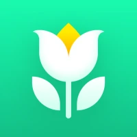 Plant Parent: Plant Care Guide