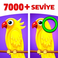 Farkı Bul: Fark Bulma Oyunları