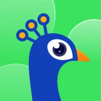 Taka - Sohbet, Canlı, Oyun